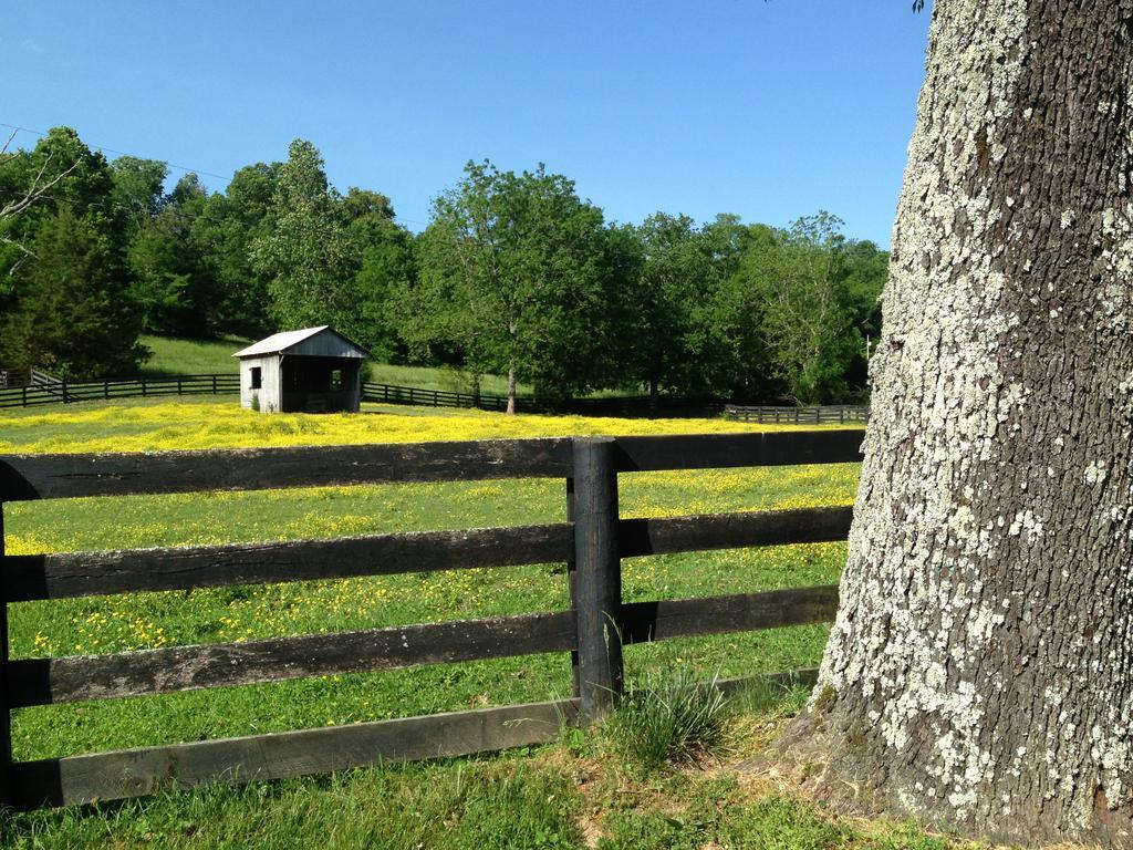 Full Circle Farm Inn Franklin Extérieur photo